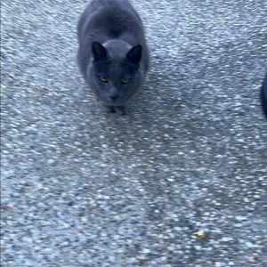 Meet your Posher, Conner